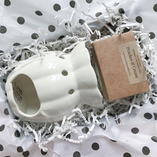 Melts & Warmer Gift Set